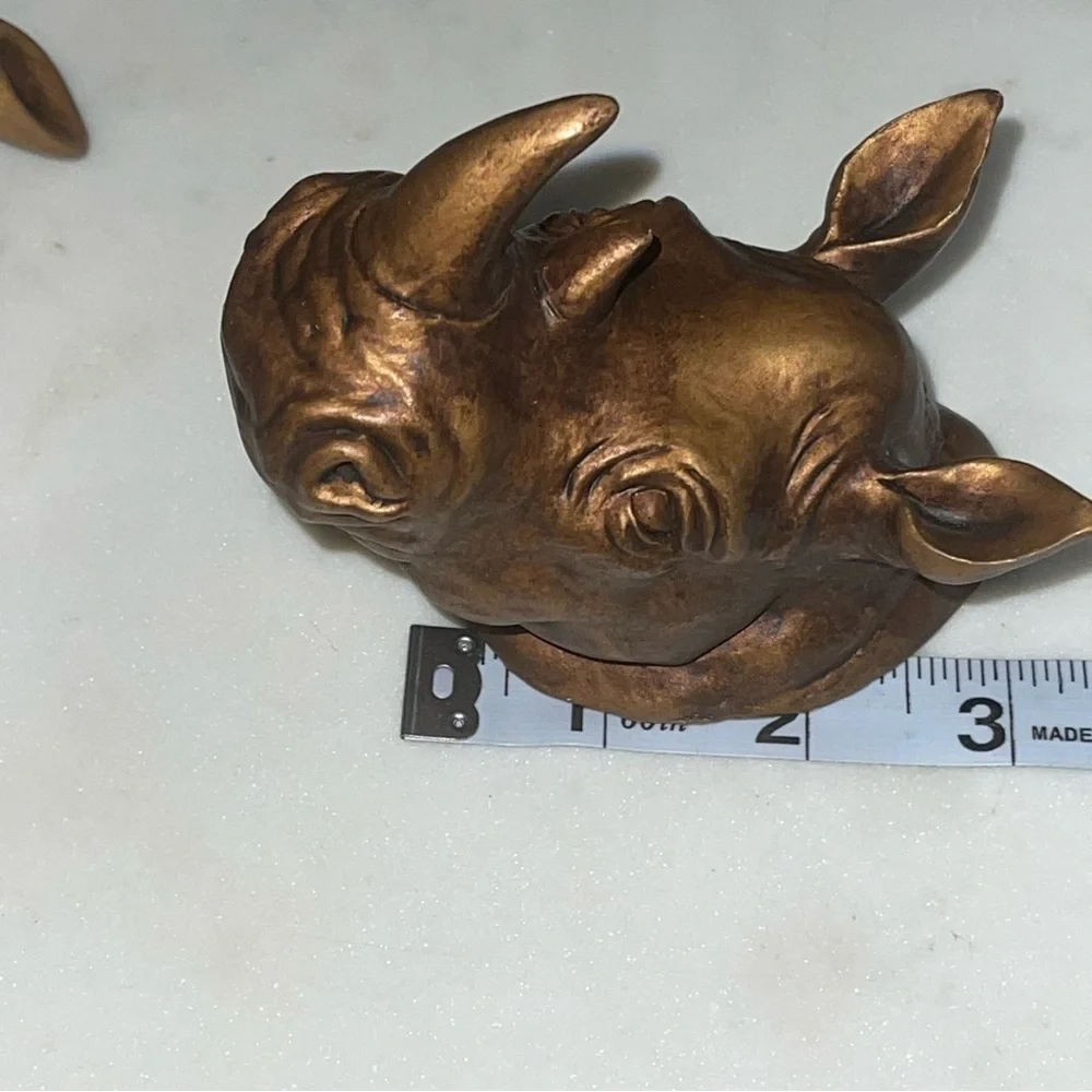 Wall Safari Decor